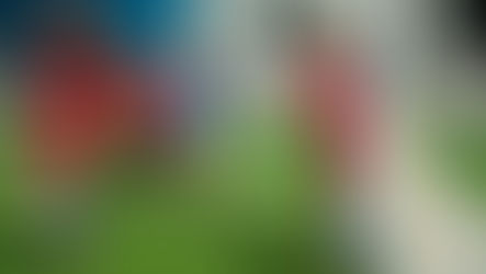 Mini House Registration Now Open