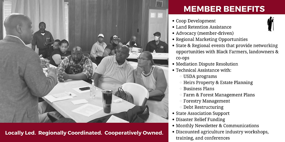 Website Dec  Nov 20 22  Membership Benefits fall 2022 (1).png