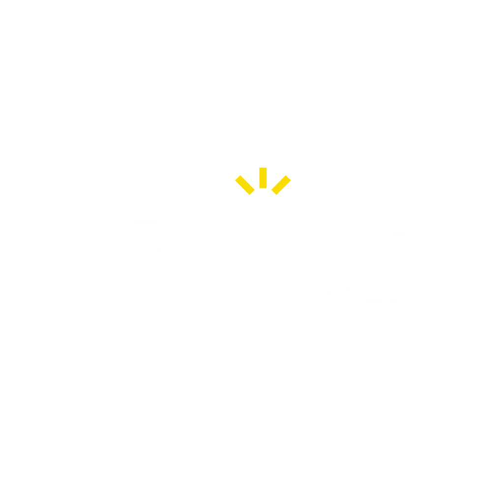Final SENANG Logo-Yellow Blink-14.png