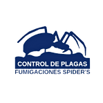 Logo Spider`s.png