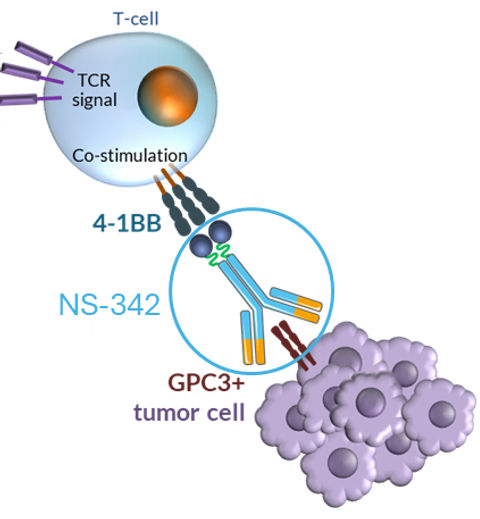 NS-342 image_edited.jpg