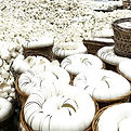 ceramics-800x800-1_11zon.jpg