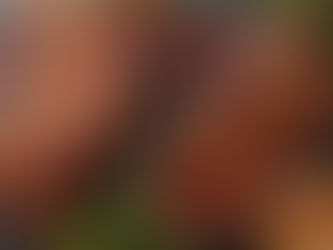 El nou perfil del consumidor carni: Qualitat, consciència i proximitat