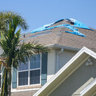 Key Components of a Florida Homeowners Insurance Policy: Understanding Your Coverage
