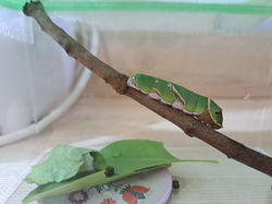 PHOTO-2023-07-11-22-03-15