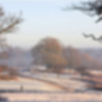 a snowy January morning