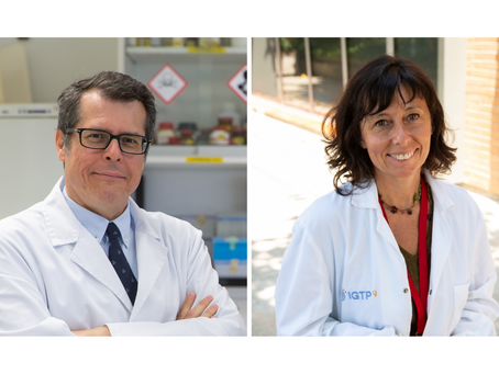 [15/2/2023] Collaborative study identifies potential targets to treat childhood liver cancer