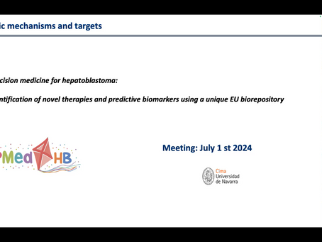 [08/07/2024] Periodic meeting with the project consortium (CIMA)