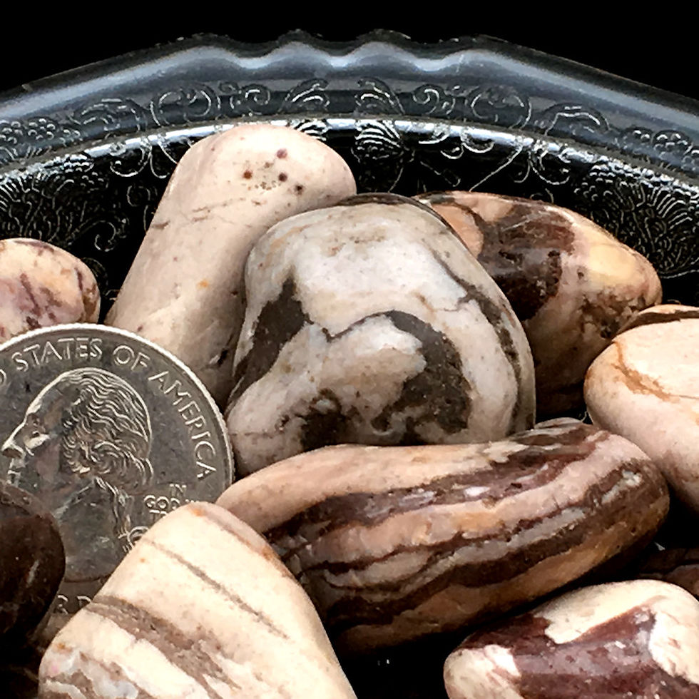 Thumbnail: 50003JZBR • Brown Zebra Jasper Tumbled • Medium | SmokyMountainBeads.com