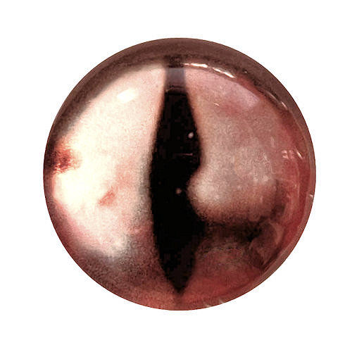 5570-1287-REP07 White Pink Brown Reptile Glass Eye Cabochon 12mm | SmokyMountainBeads.com