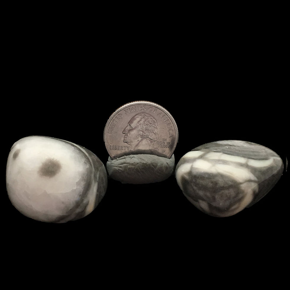 Thumbnail: 50005FS • Fossil Shell Tumbles • Extra-Large | SmokyMountainBeads.com