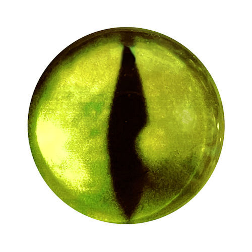 5570-1287-REP23 Green Yellow Reptile Glass Eye Cabochon 12mm | SmokyMountainBeads.com