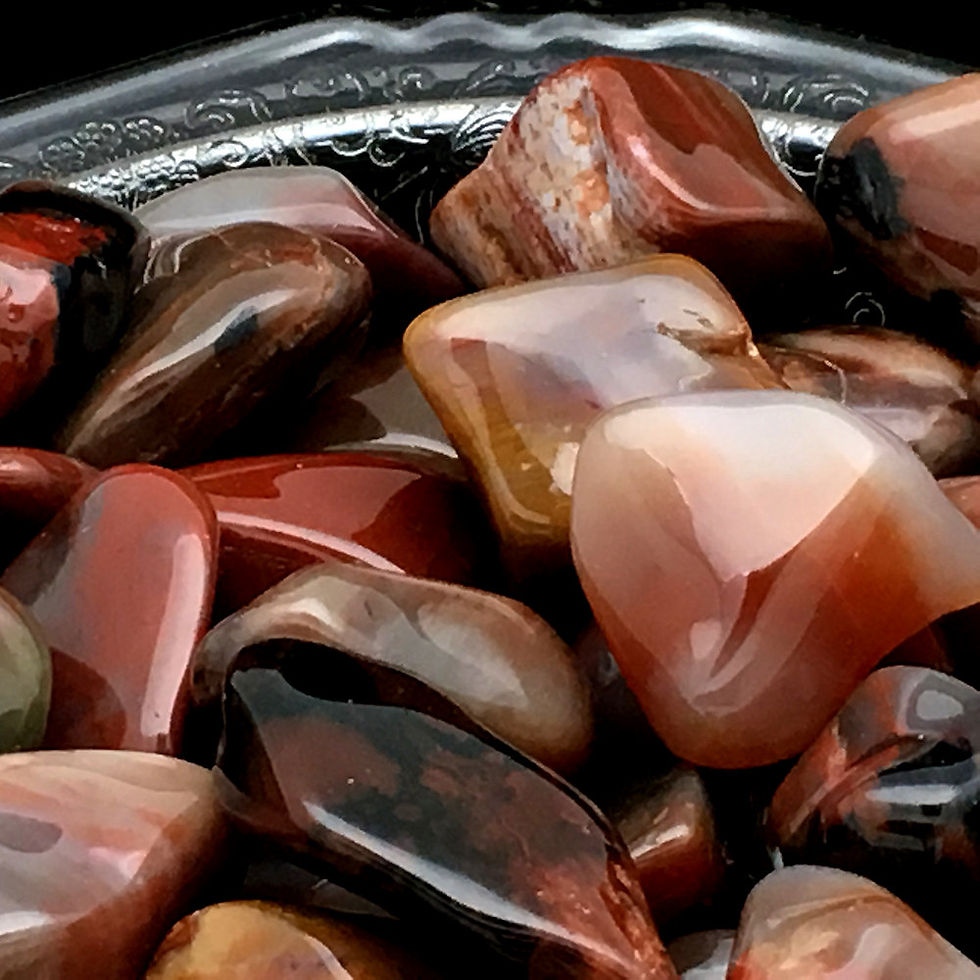 50002PETU • Petrified Wood Tumbles • Medium | SmokyMountainBeads.com