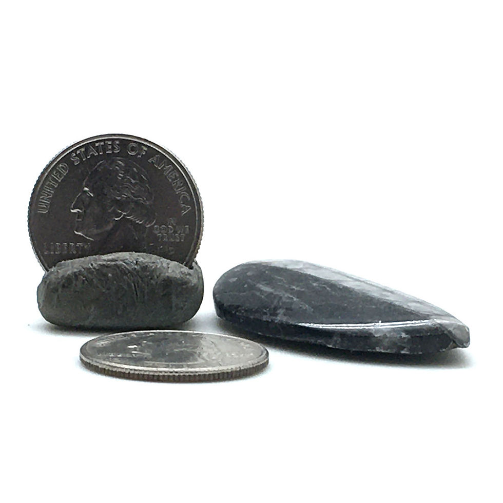 Thumbnail: Orthoceras • Morocco • 11.2 grams ~ 45x25x7mm