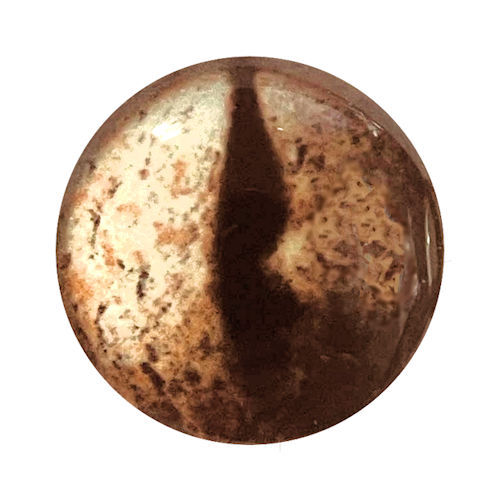 5570-1287-REP20 Ivory Brown Speckled Reptile Glass Eye Cabochon 12mm | SmokyMountainBeads.com