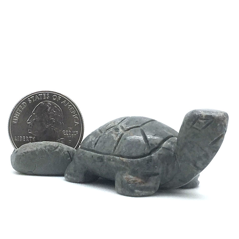 Thumbnail: Picasso Stone Turtle • Brazil • 43.8 grams ~ 52x34x26mm