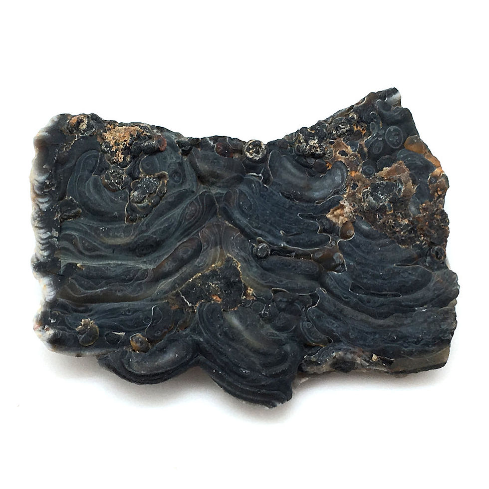 Thumbnail: Chalcedony Rose Agate Concha  • Brazil • 30.4 grams ~ 63x50x8mm