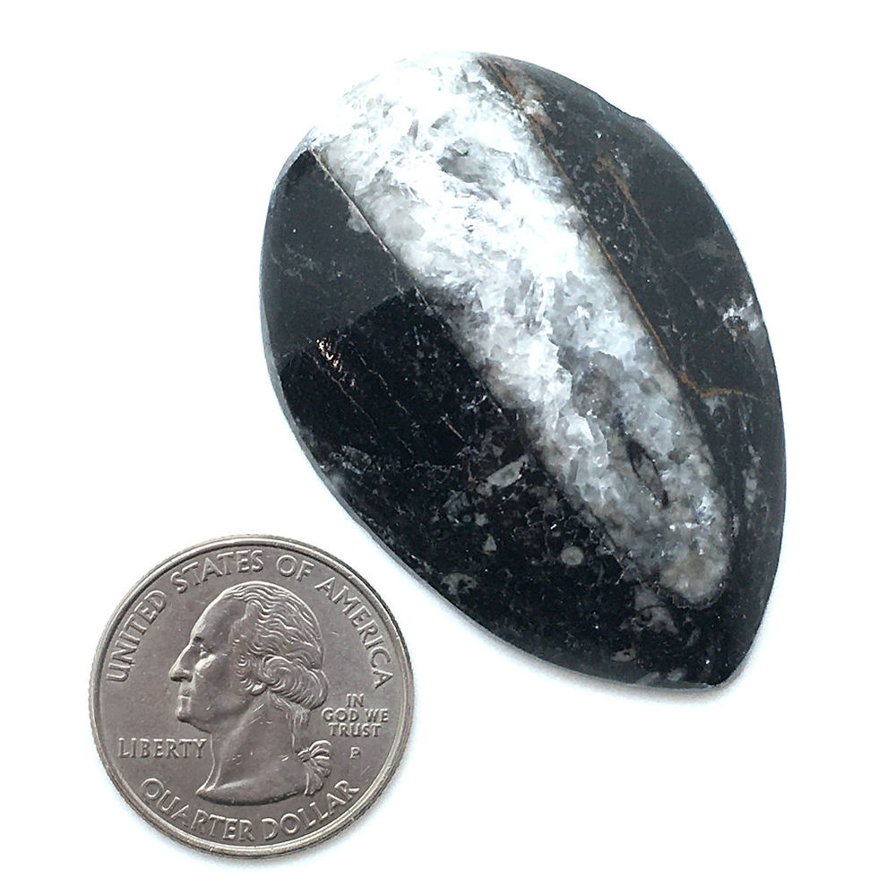 Thumbnail: Orthoceras • Morocco • 29.4 grams ~ 53x37x12mm