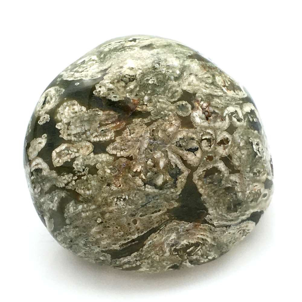 Ocean Jasper • Madagascar • 304.4 grams ~ 78x67x53mm