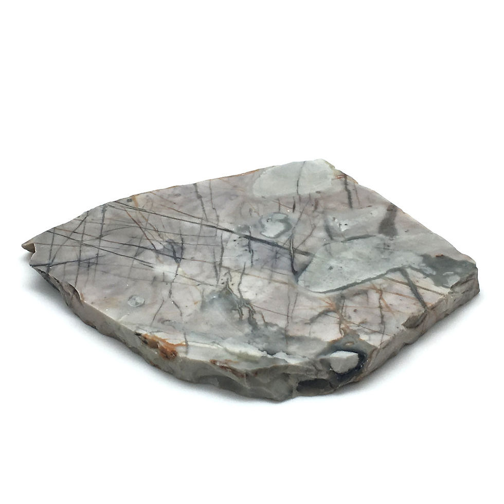 Thumbnail: Picasso Stone Slab • Brazil • 294.5 grams ~ 117x116x11mm