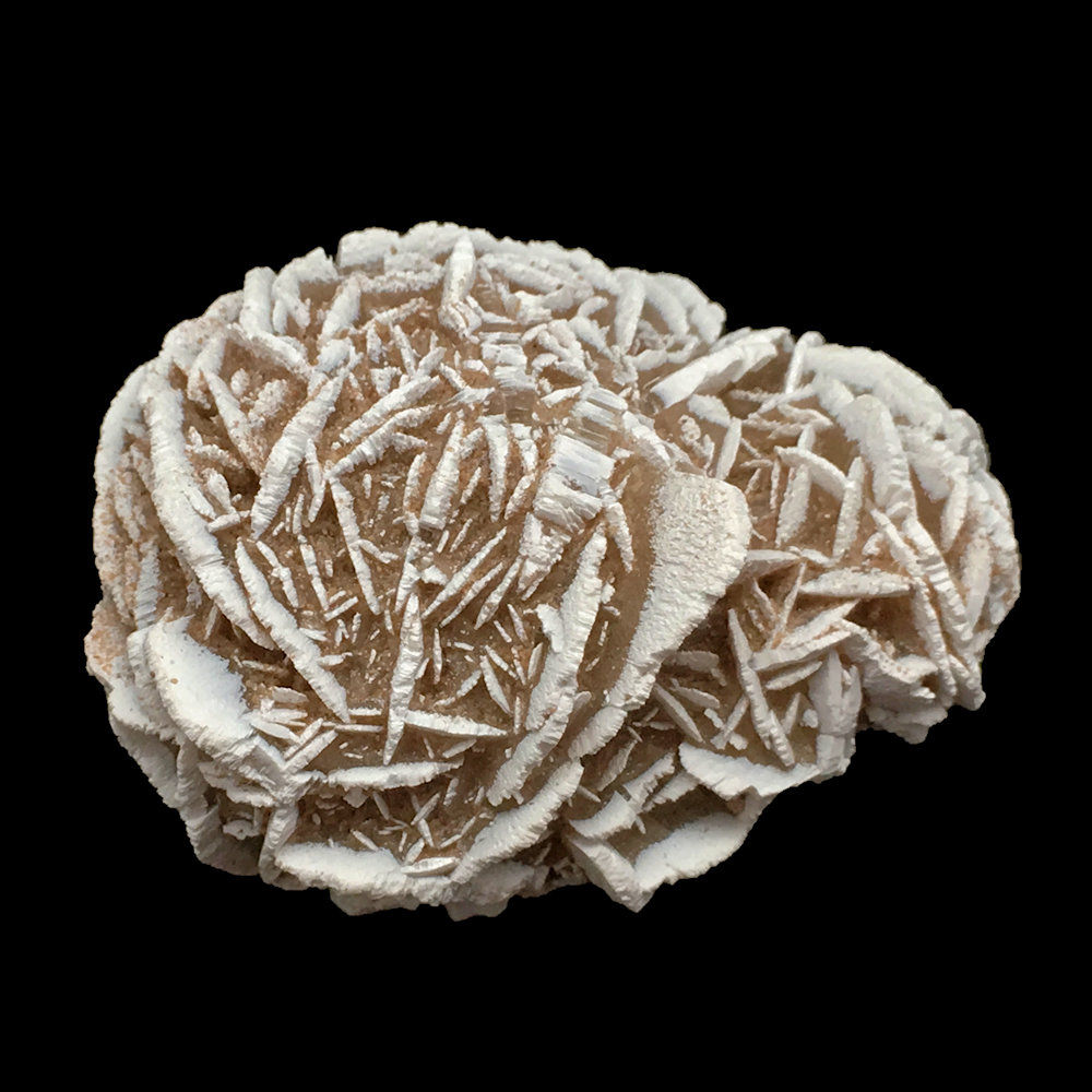Desert Rose Cluster • Mexico • 38.3 grams ~ 45x38x29mm