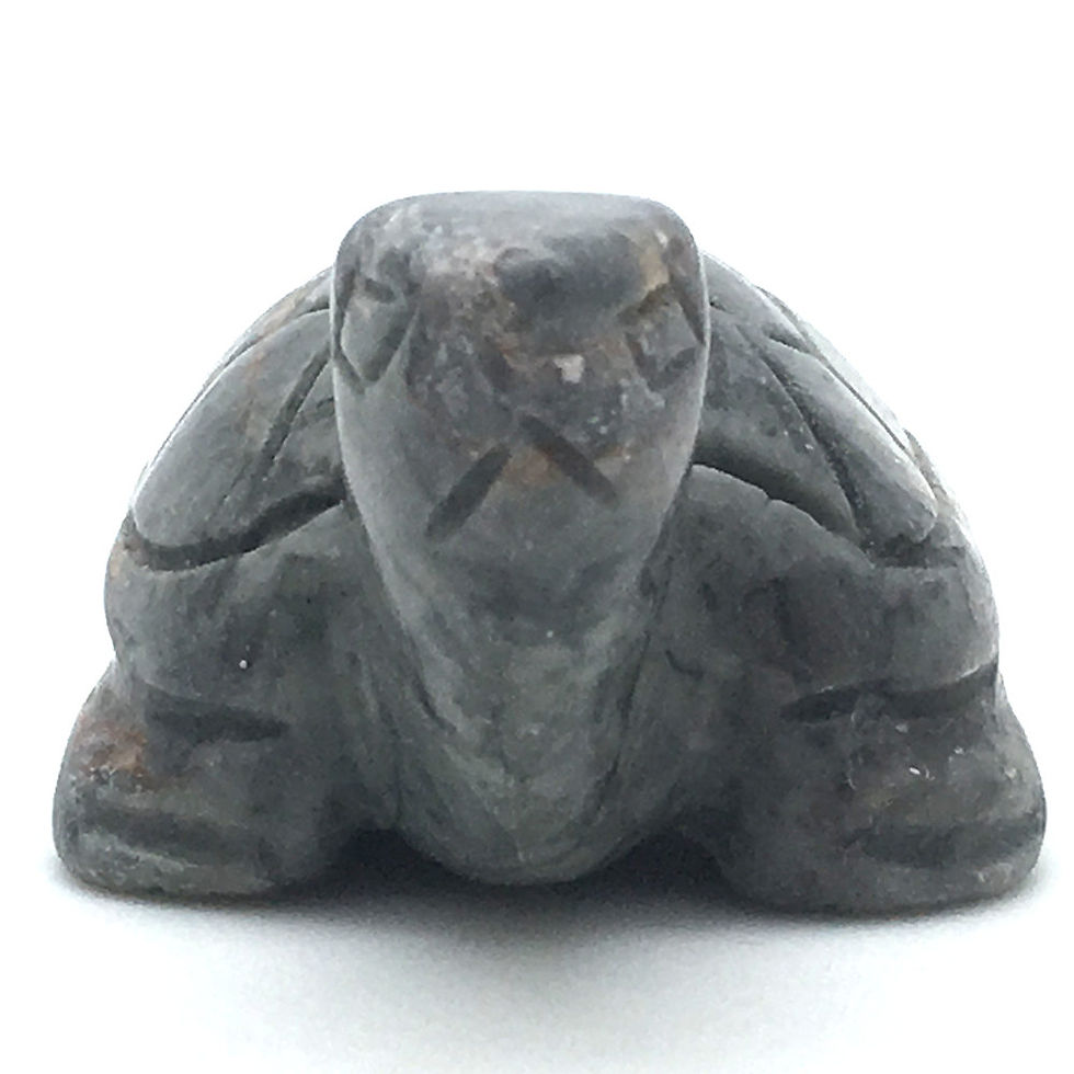 Thumbnail: Picasso Stone Turtle • Brazil • 43.8 grams ~ 52x34x26mm