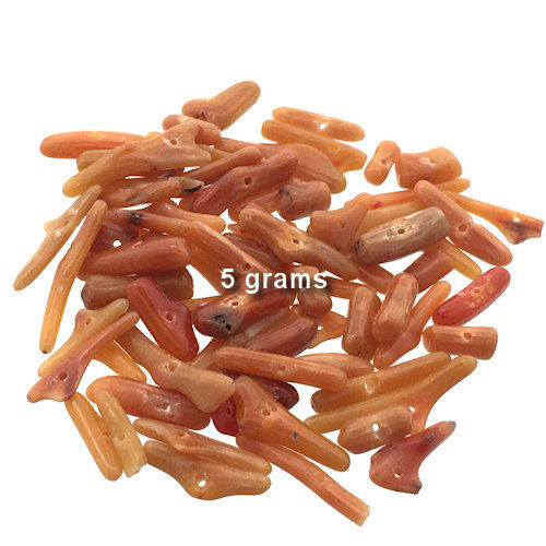 Thumbnail: 167100Co-BORG-5 • Bamboo Coral Cupolini | SmokyMountainBeads.com