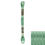 Thumbnail: 913 • Nile Green Medium Floss • DMC | SmokyMountainBeads.com