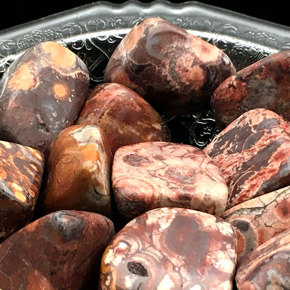 Thumbnail: Birds Eye Rhyolite Tumbled • Brazil • Extra-Large