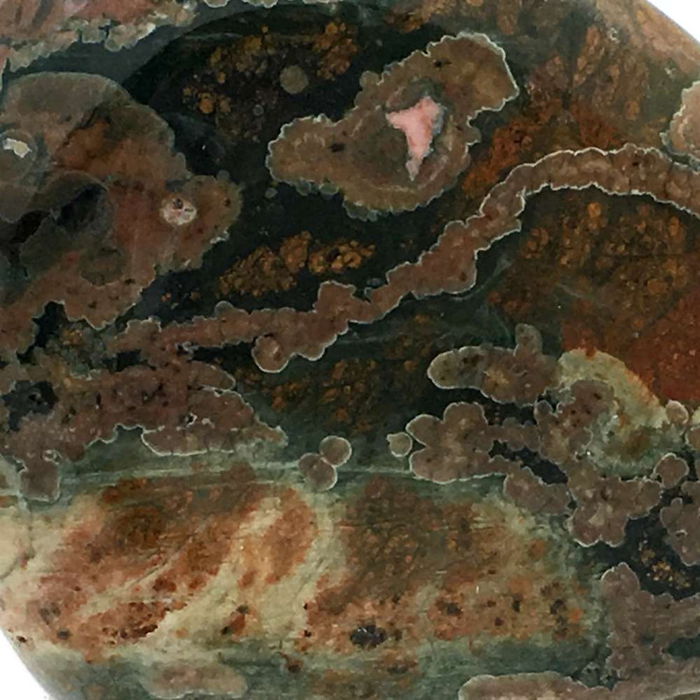 Thumbnail: Rainforest Rhyolite Gallet • Australia • 263.7 grams ~ 79x65x44mm
