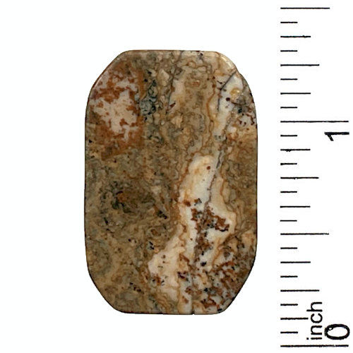 55100JP-30-29198RC • Picture Jasper Rectangle Cabochon • 29x19x8mm | SmokyMountainBeads.com