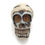 Thumbnail: Acrylic Skull Bead • 33x22x20mm • Ivory (1) • 196100ACR-3322-IVORY | Smoky Mountain Beads