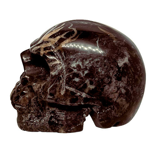 Thumbnail: 96BRJ-91-8 • Brown Jasper Realistic Skull • 50x33x38mm ~ 91.8 grams | SmokyMountainBeads.com