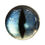 Thumbnail: 5570-1287-REP47 White Midnight Dark-Green Reptile Glass Eye Cabochon 12mm | SmokyMountainBeads.com