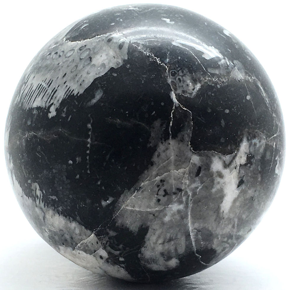 Thumbnail: Fossil Shell Sphere • Madagascar • 704.3 grams ~ 79.8mm