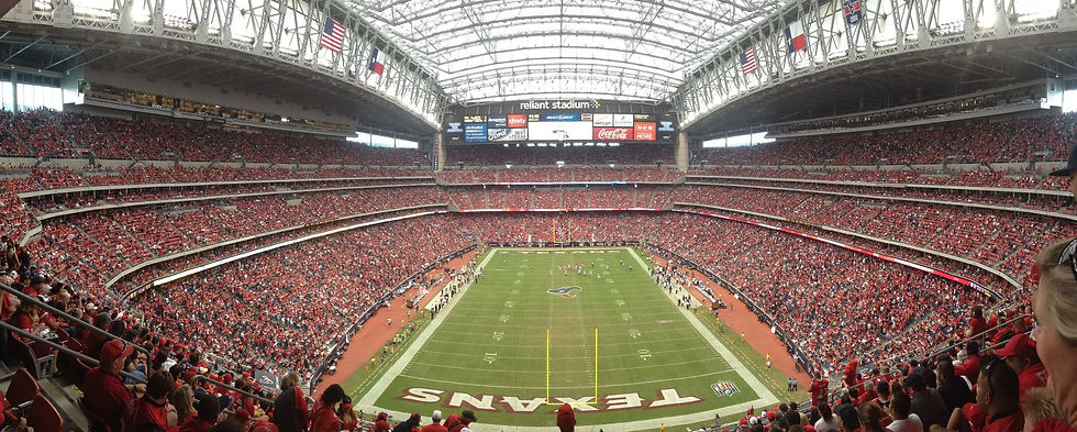 reliant_stadium27.jpg