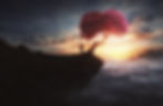 a-man-climbs-to-the-top-of-a-mountain-to-find-a-single-cherry-tree-SBI-301099398.jpg