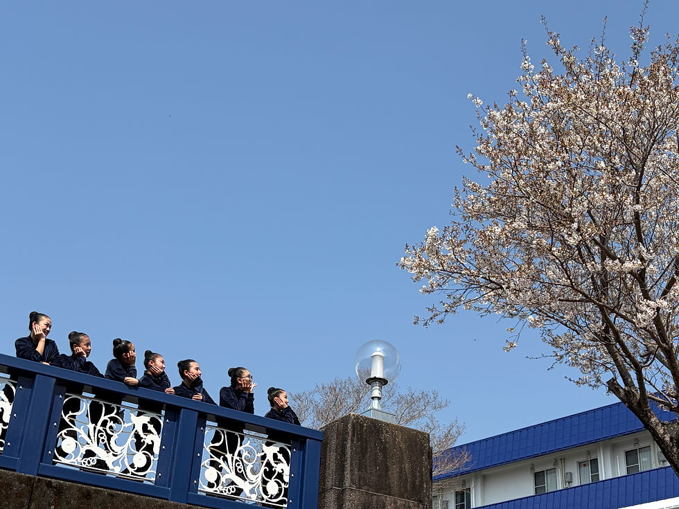 会場前の桜がとてもきれいでした