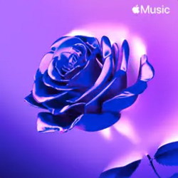 LC_APPLE_NEWINR&B