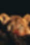 CAM07339.jpg