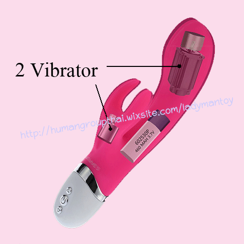 ภาพขนาดย่อ: แท่งนวด หูกระต่าย ว้าวเยส