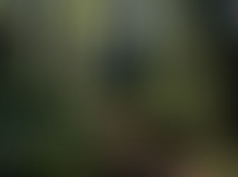 Researcher Claims Bigfoot Gets Abducted. UFO Data Suggests He's Onto Something