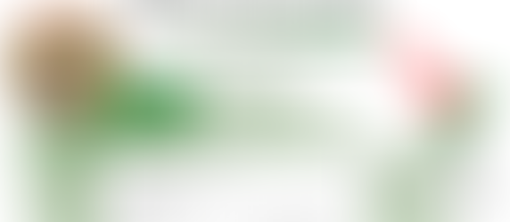 Vermont Introduces First State UFO Task Force Bill