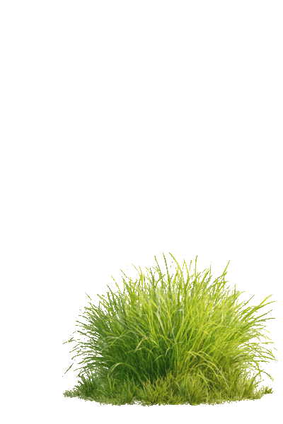 Eier für LP (3).gif