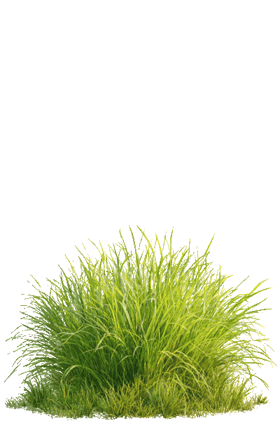 Eier für LP (2).gif