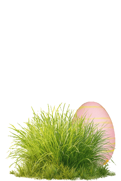 Eier für LP (5).gif