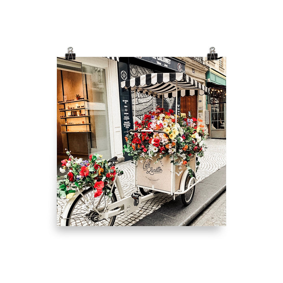 Thumbnail: 2nd Arrondissement