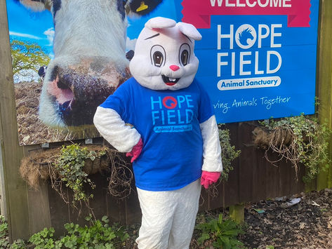 things to do in London with kids in the Easter holidays