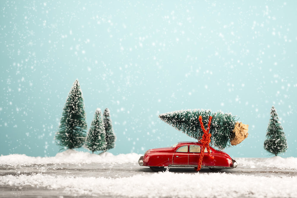 Where to buy firtastic Christmas trees in London