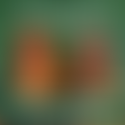 thumbnail for 204 | Where Healing Meets Human Rights: Consent, Reiki, Privilege, and the Practice of Being Alive with Nadine Donselaar